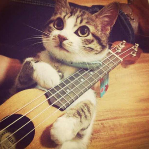 龙卷的堕落调教生活
